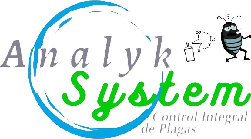 Analyksystem